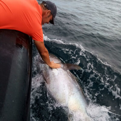 YD-Fishing-peche-thon-la-rochelle